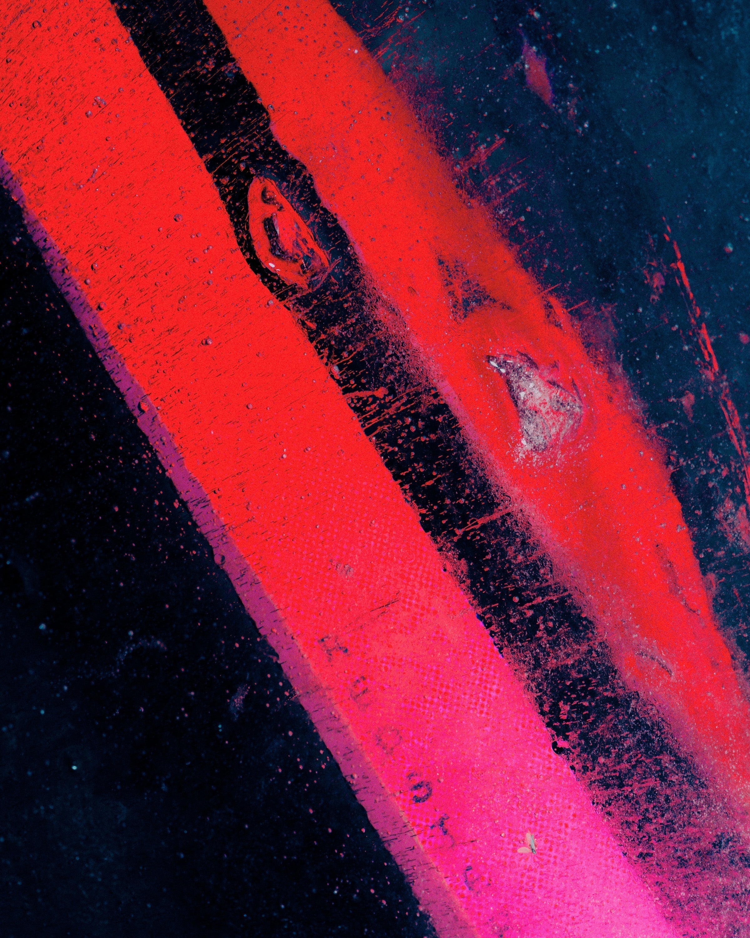 Redster S9 Gen S: A Race Ski That’s Not Just for Racers