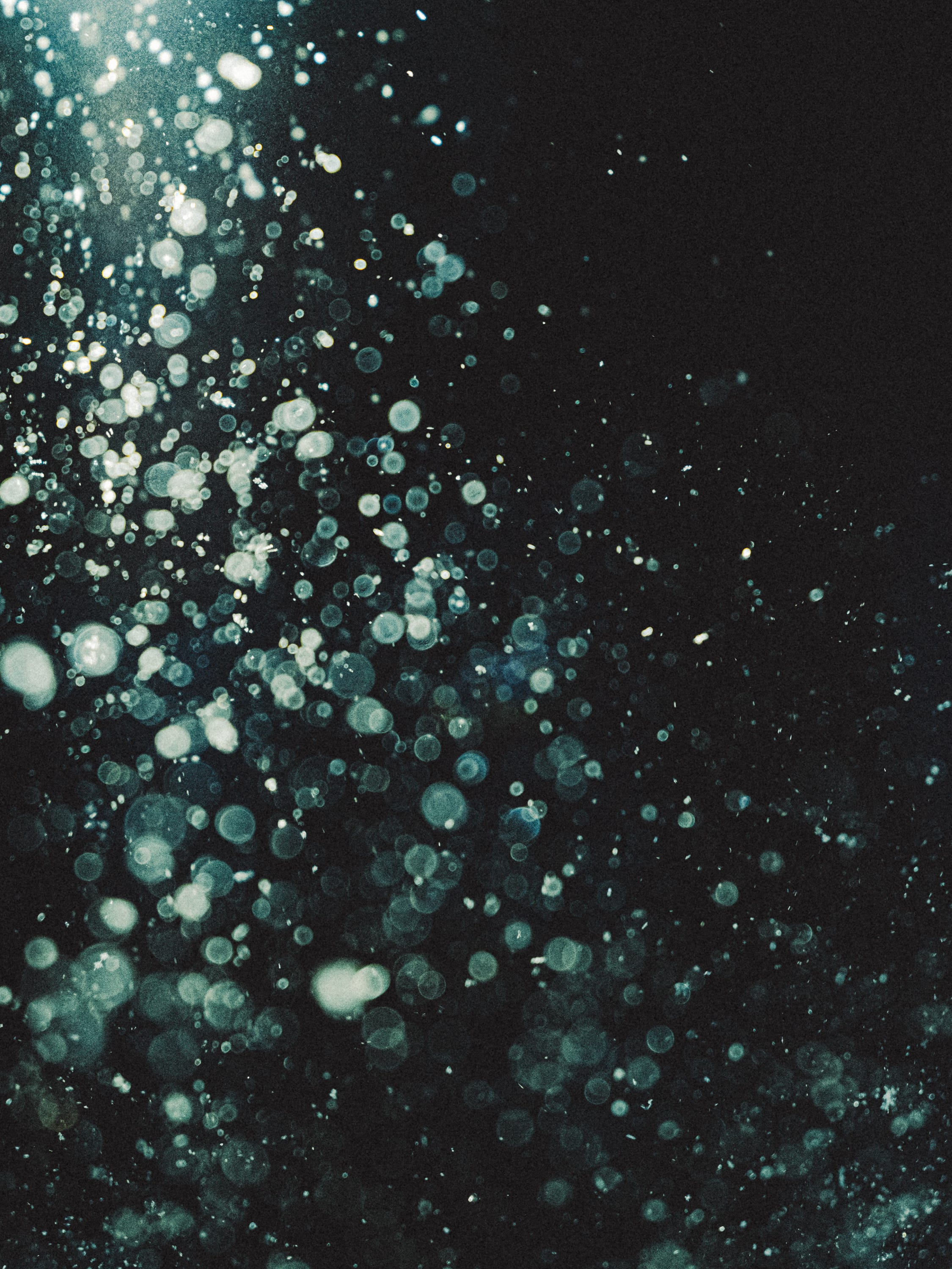 Abstract dark background with scattered glowing teal and white bokeh light circles and fine speckles.
