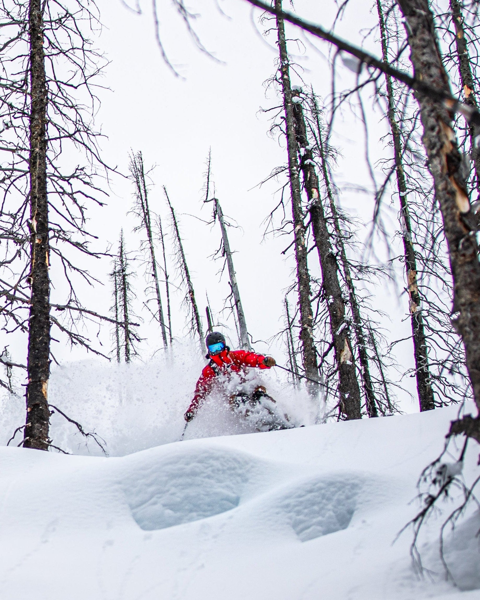 Sage Cattabriga moves through deep powder snow in a forest of bare, snow-dusted trees under an overcast sky.