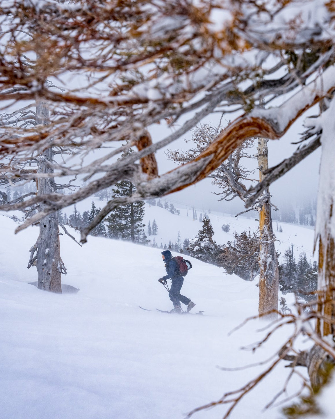 Amie Engerbretson skiing up on a snowy mountain landscape with snow-covered trees.