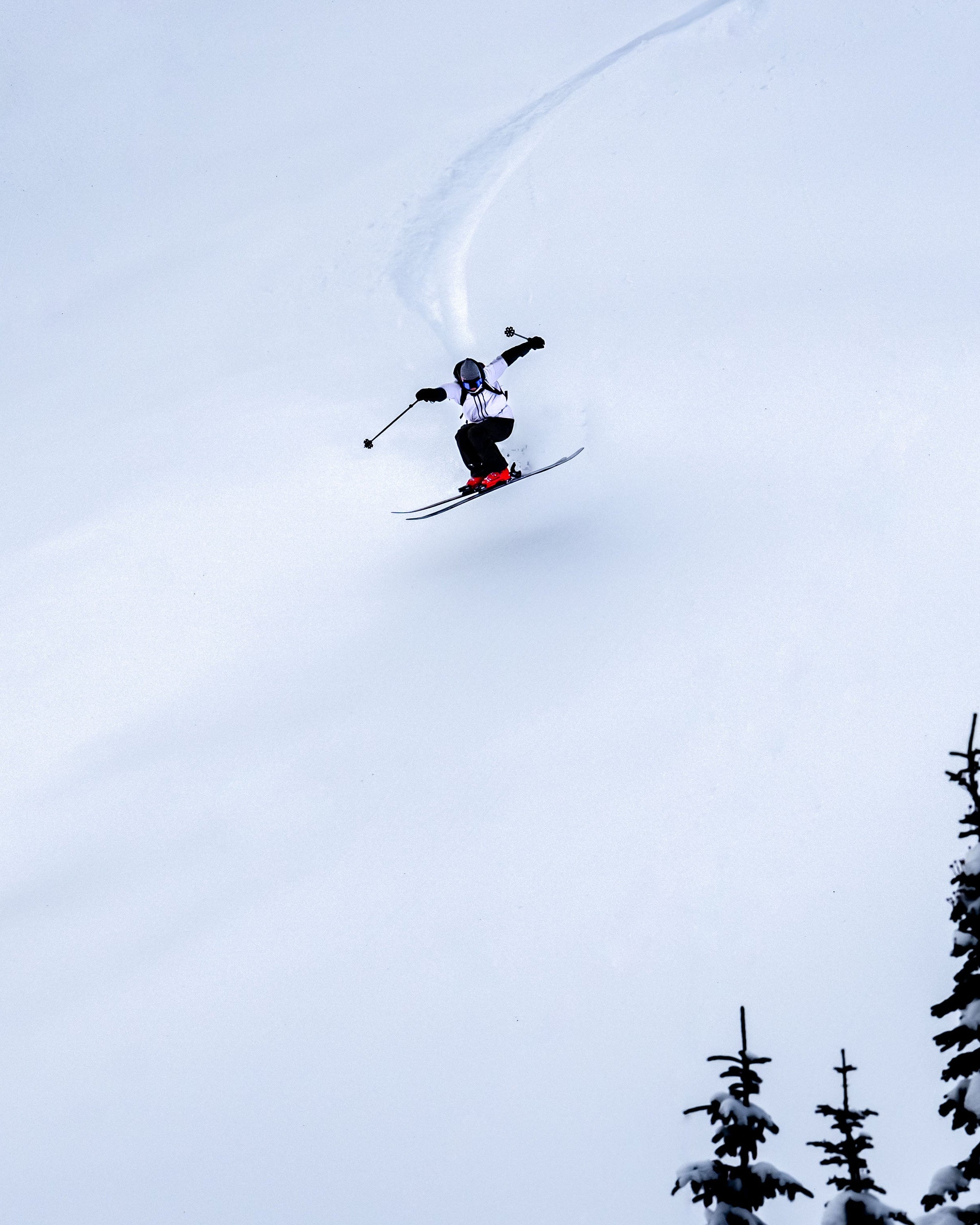 Arianna Tricomi carving through deep powder snow on a wide slope, with dark evergreen trees in the lower right foreground.