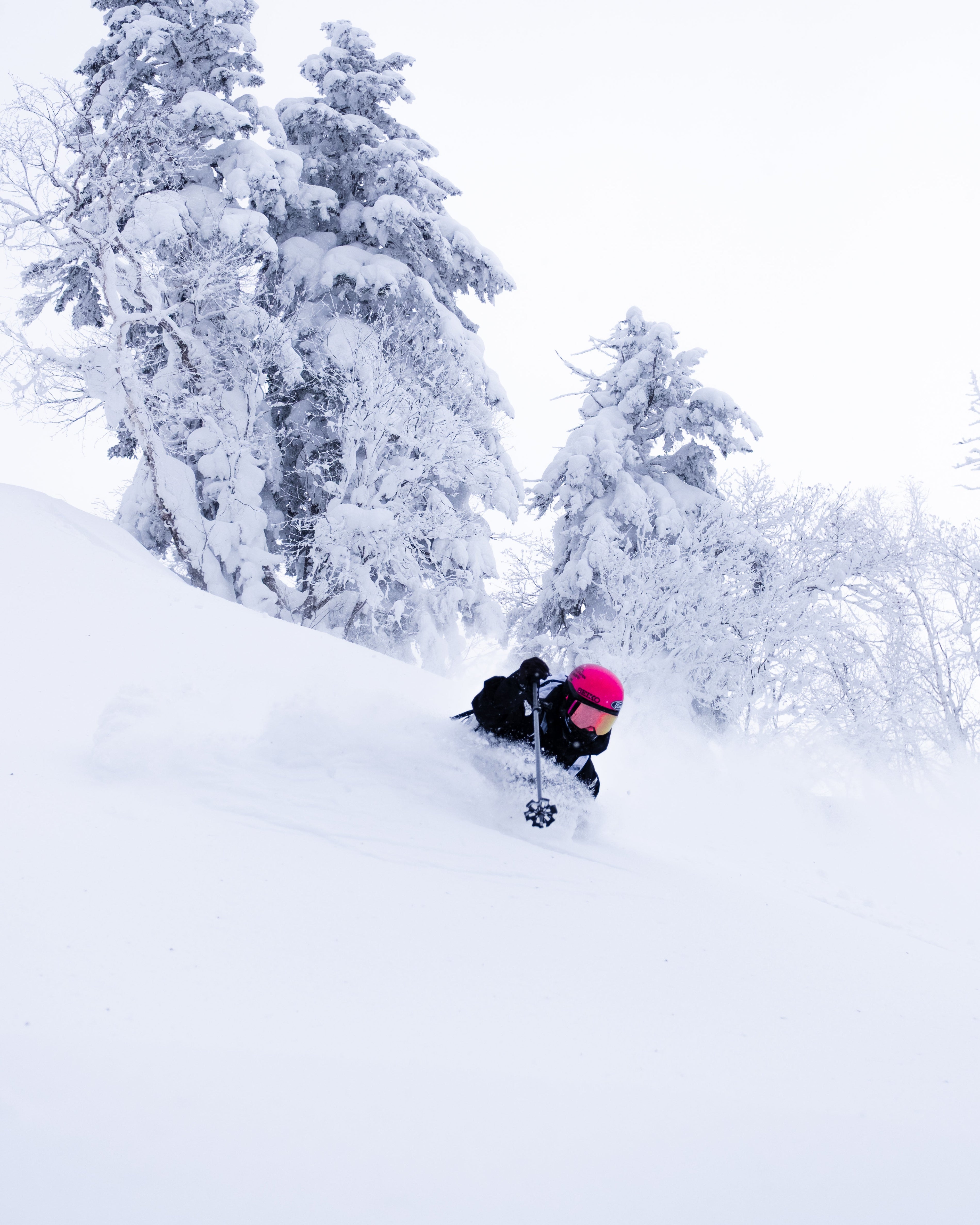 Aymar Navarro in black gear with a bright pink helmet slides through deep powder snow on a snowy mountain slope, with snow-covered pine trees in the background.