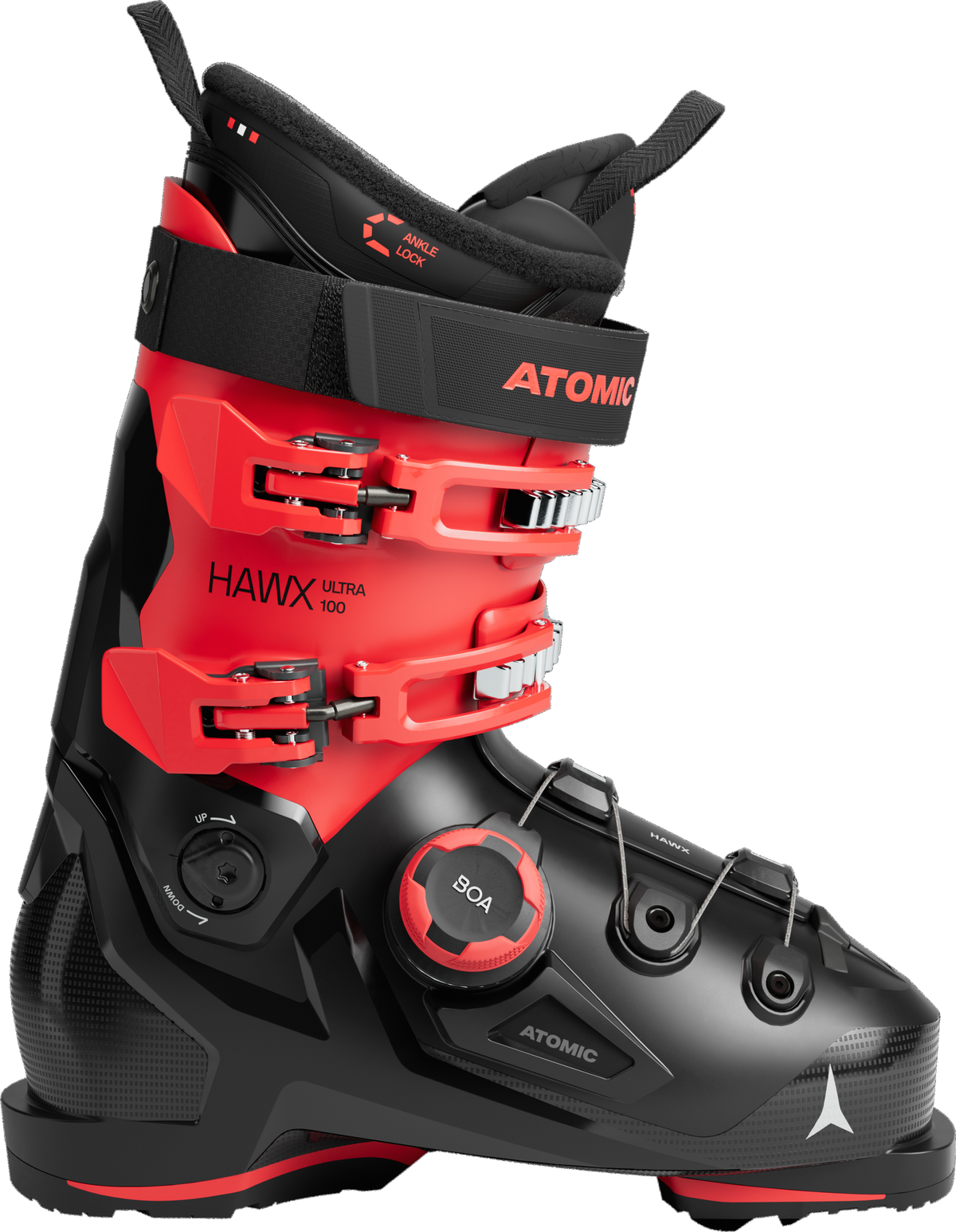 Prolite