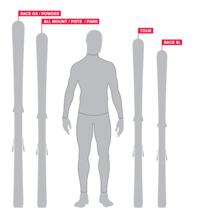 A ski size guide diagram showing a gray human silhouette centered between four labeled skis: Race GS / Powder, All Mount / Piste / Park, Tour, and Race SL, on a white background.